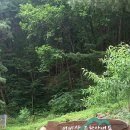 어비산 정상(829m) 이미지