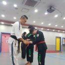 합기도(BK)본부도장 이미지