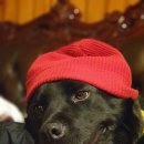 삼춘네민박 이미지