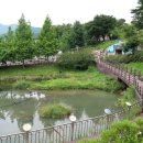 물소리새소리 이미지