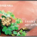 미니골드안산