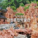 9월27일(금) ~28일(토)삼척 쏠비치바다여행+대금굴+덕항산둘레길+핫플 강원박물관 이미지