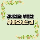 라비엔오 공인중개사사무소 이미지