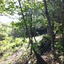 아부지농장 이미지