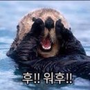 위드피아노 - 거창군 상동길 50-12 | 위드피아노