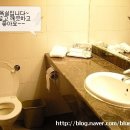 미르마 네이버블로그
