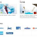 에스앤티미디어