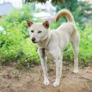 수리농장 이미지