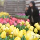 박지호농장 이미지