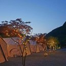 리즈밸리 네이버블로그