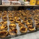[속초day2] 여름휴가 | 책방투어 동그란책, 동아서점 🏠📚, 에그타르트 맛집 나따오비까 속초점