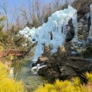 카페라밸리 네이버블로그