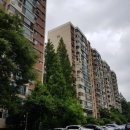 압구정-245 이미지