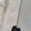 VILLA de LOUIS | 2026년 1월 파리 여행 6일차_빌라 라호슈, 마르모탕 모네 미술관, 옥동식 파리, 리슐리외 도서관...