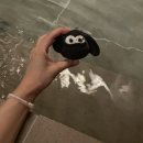 스테이오캄 | 강원도 속초 숙소] 고성 속초 독채 풀빌라 감성숙소 ‘스테이 오캄’ 내돈내산 후기 (수영장, 자쿠지 있음)