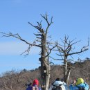 서울매헌초등학교