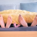 달빛자락 이미지