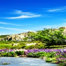 행복한하루 이미지