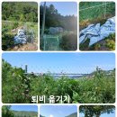 중천농장 이미지