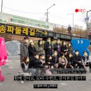 문정로 왕벚나무길 | 송파둘레길 Walk On Air. 함께 걸어요, 50리 수변로 장지천길 참가기
