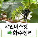 화수농장 이미지
