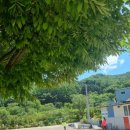 물한보건진료소 이미지