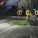 (주)포유테크 | 호주 워홀 D+27｜워킹 아니고 워킹 홀리데이인데