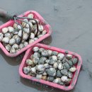 밧개플레이스 이미지