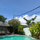 댕댕이 살롱 | 발리 짱구 평점 5.0 네일살롱 Sounds of Sun 후기 (네일, 페디 가격)