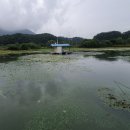지금이 찬스 초평지 붕어낚시 봄 시즌 월척 입질 터지는 현장 후기