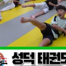 성덕태권도 이미지