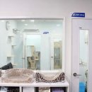 행복사랑동물병원 이미지