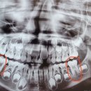 도치소아치과의원 이미지