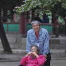 365할인