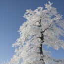 수원-0377 이미지