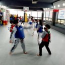 무덕태권도 이미지