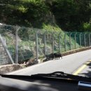 밤머리재약수터 이미지