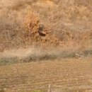 미천면-5 이미지