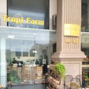 비치 근처 과일가게 & 과일주스 맛집 Tropi Farm(트로피팜) 방문 후기 | 신선한 망고·코코넛·주스 전문점
