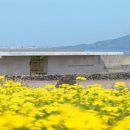 유민미술관 이미지