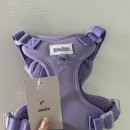 강아지왈츠 | 강아지 하네스 추천 왈츠에서 골라보세요!