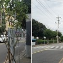 버스정류장 07-201 이미지