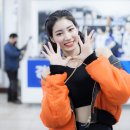 용인실내체육관 이미지