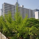 장미아파트 이미지