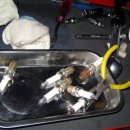 오토보스 코리아 이미지