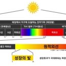 따숨.찜질다이어트