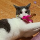 토마스동물병원 이미지