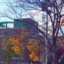 상촌면사무소 이미지