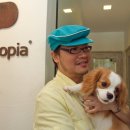 하울팟 부산케어센터 이미지