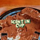 센틴컵